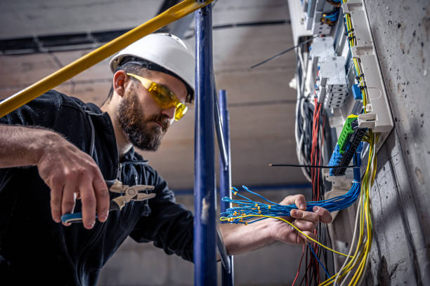 Best Affordable Electrician  in Pigeon, MI