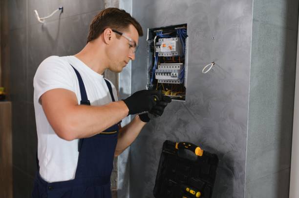 Best Electrical Repair Services  in Pigeon, MI