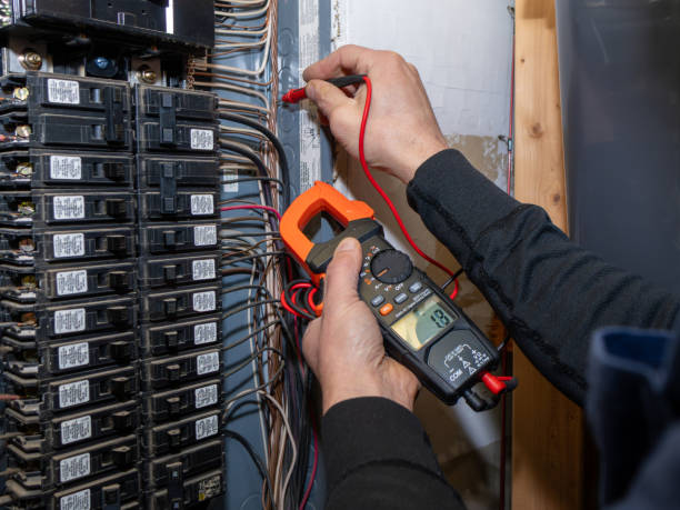Best Electrical System Inspection  in Pigeon, MI