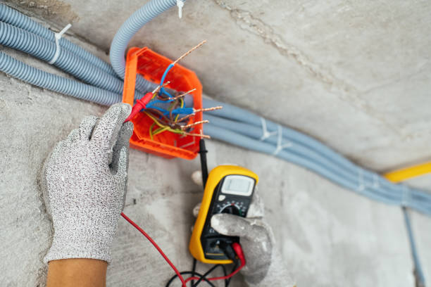 Best Electrical Upgrades for Homes  in Pigeon, MI